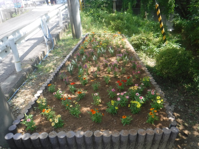 袋井公園の花壇